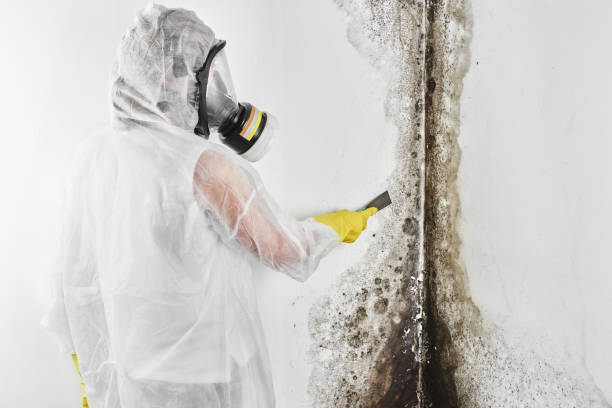 Asbestos and Lead Testing During Mold Inspection in Macopin, NJ